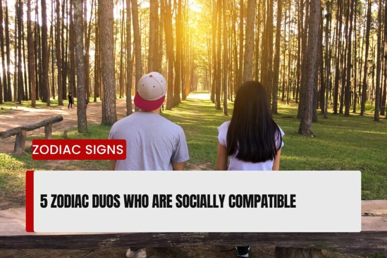 Zodiac Duos Who Are Socially Compatible