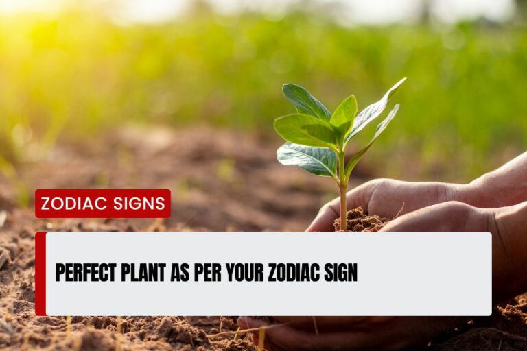 Perfect Plant As Per Your Zodiac Sign